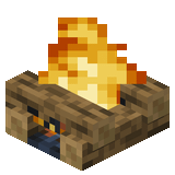 Feu de camp